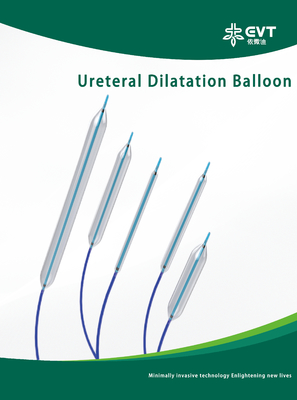URL Access Dilatation Balloon Catheter With Hydrophilic Coating and Inflation Device