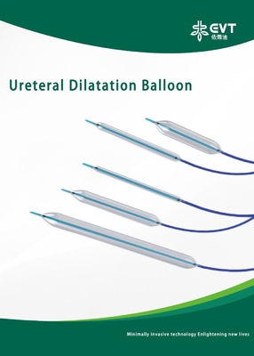 Easy Operation Ureteral Balloon Smooth Insertion CBD Balloon With Inflation Device