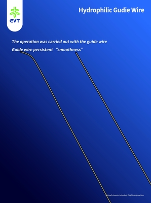 Kink Resistant Hydrophilic Coated Guidewire For Endovascular Procedures