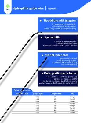 High Precision Hydrophilic Guide Wire Hydrophilic Coated Wire With Radiopaque Dual Tip