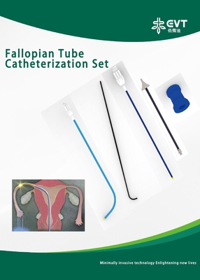 Hydrophilic Fallopian Tube Recanalization With Stainless Steel Thimble And Dual Catheter System