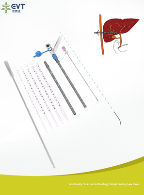 Hydrophilic Coated Percutaneous Transhepatic Biliary Drainage With Guidewire And Peel Away Introducer