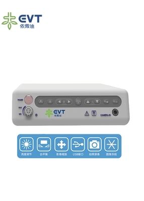 Safety Flexible Fiberoptic Endoscope With Integrated Laser Lithotripsy