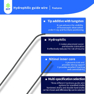 High Precision Hydrophilic Guide Wire Hydrophilic Coated Wire With Radiopaque Dual Tip