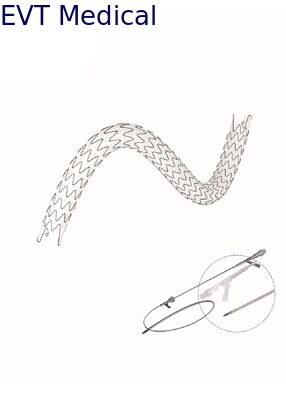 Hydrophobic Coated Ureteral Stent Nitinol Supported Fatigue Resistant F Urs