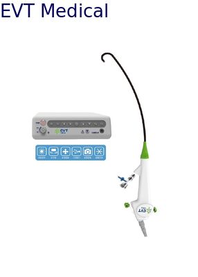High Precision Disposable Cholangioscope Endoscope With Rotational Control