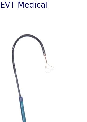 Dual Mode Disposable Flexible Ureteroscope Switchable Single Use Ureteroscope