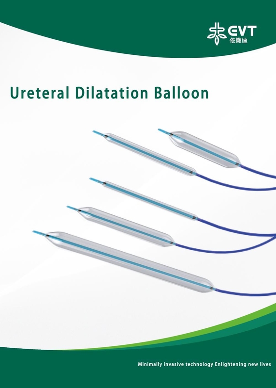 Easy Operation Ureteral Balloon Smooth Insertion CBD Balloon With Inflation Device