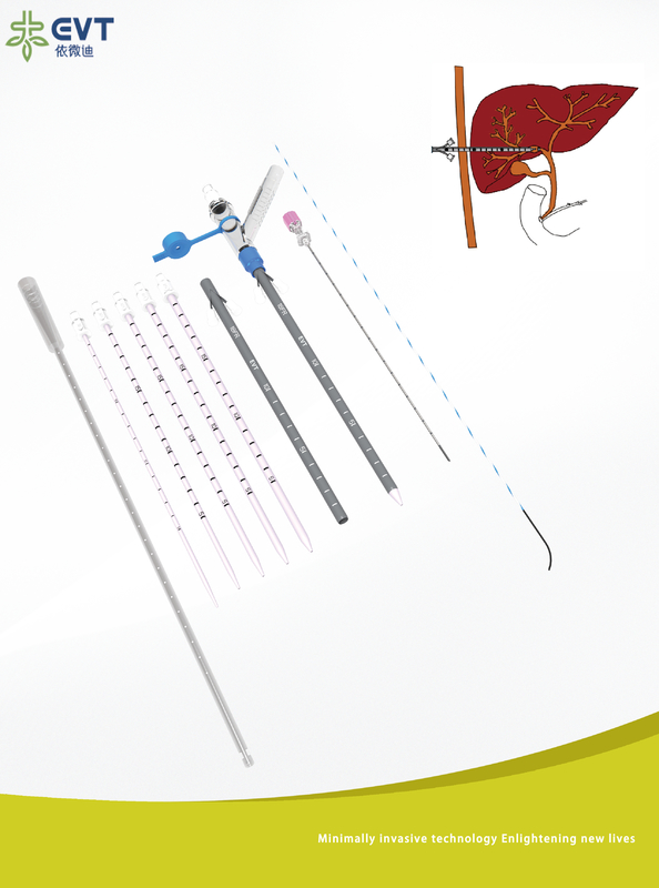 Hydrophilic Coated Percutaneous Transhepatic Biliary Drainage With Guidewire And Peel Away Introducer