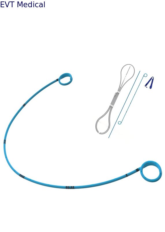Imported Thermosensitive Long-Term Ureteral Stent Sets for Chronic Benign Ureteral Strictures