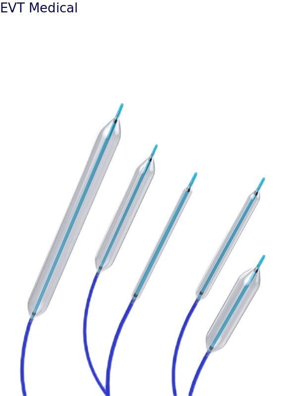 Easy Access Ureteral Balloon With Inflation Device Insertion Via URL Hydrophilic