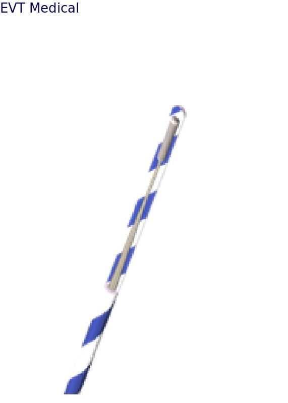 Hydrophilic Zebra Guide Wire Urological Guidewire PTFE Coated With Nitinol Zirconium Core BQ Series