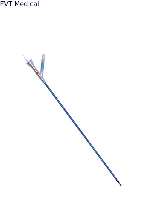 Negative Pressure Ureteral Access Sheath Hydrophilic Stone Clearance Access Sheath Urology