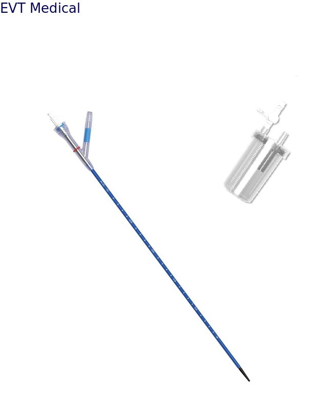 Ultrasound Visible Ureteral Access Sheath Radiation Free Access Sheath Urology For Pregnancy And Radiation Sensitive Cases