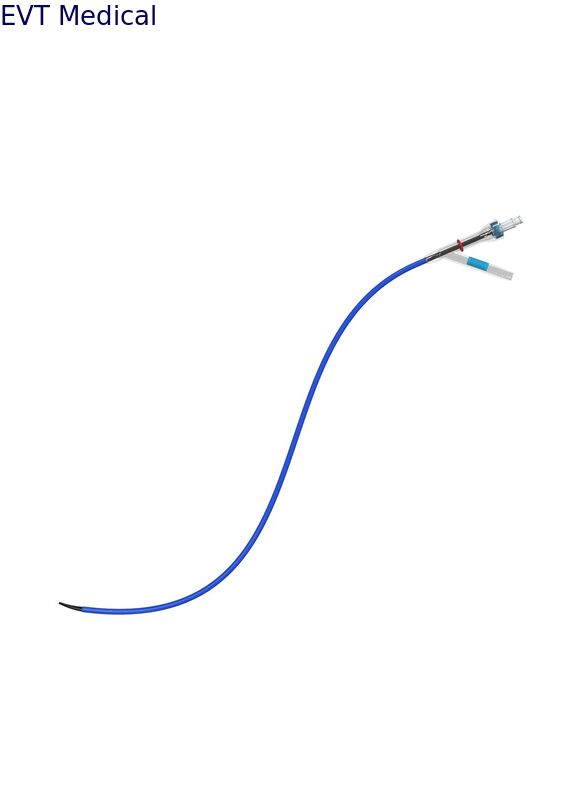 Anti Kink Ureteral Access Sheath RIRS Procedures Fr12 Fr14 Access Sheath Urology
