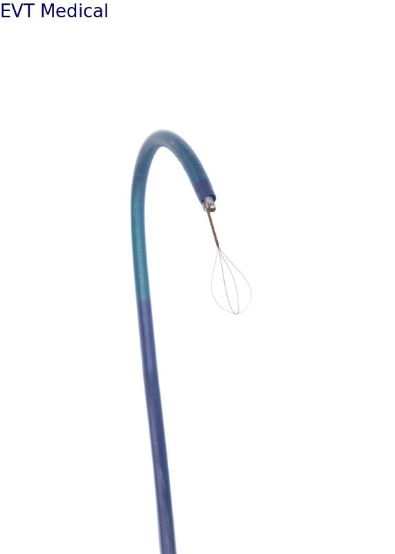 Sustainable Single Use Flexible Endoscope With Fully Recyclable Design