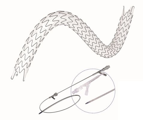 Hydrophobic Coated Double Ureteral Stent Radio Opaque Large Lumen URS Stent